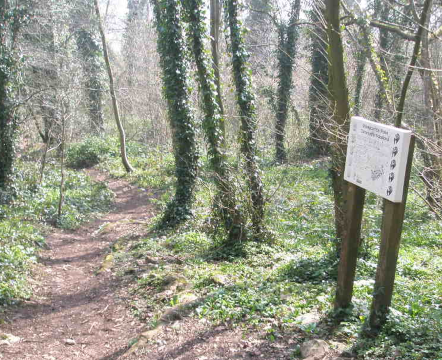 A information board on a trail providing guidance